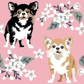 large print // Chihauhau Dog Puppy Floral white flowers  Pink  flower dog fabric