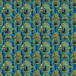 Blue and Yellow Fish 