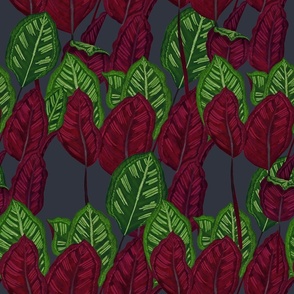 Calathea Plant Pattern - Midnight