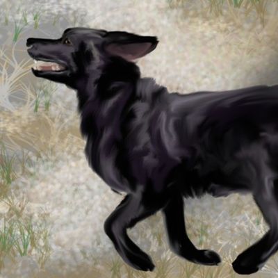 Custom Black Labradors on Frostbitten Grass