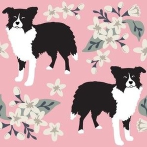 large print // Border Collie White Floral with pink  small print flowers dog fabric