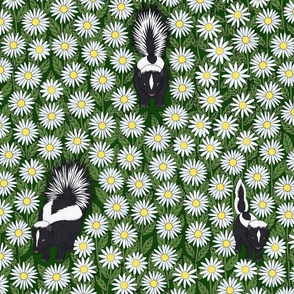 shasta daisies and striped skunks