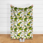 Windflowers lime green and cool grey bold large