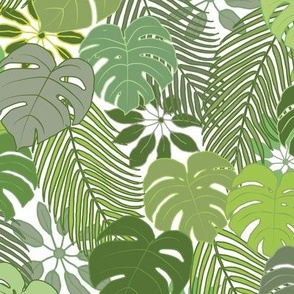 Monstera and palms on White