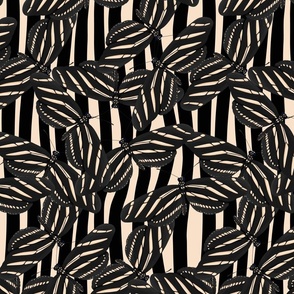 Hidden Zebra's | Black & Off white | 12