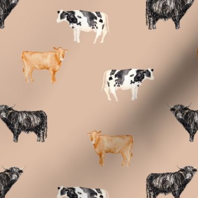 Cows in Dahlia