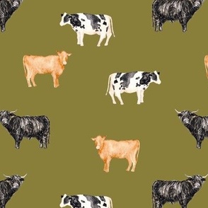 Cows in Fern