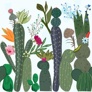 Cactus and succulents with colorful flowers