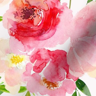 enchanting summer hand painted watercolour roses and twigs perfect for nursery wallpaper  light blush background