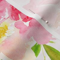 enchanting summer hand painted watercolour roses and twigs perfect for nursery wallpaper  light blush background
