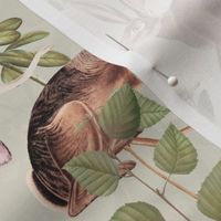 18" Step into a Victorian Gothic Fairytale: Little Fairies and Wild Animals in Autumn Woodland. Immerse in the Sepia-Toned Nostalgic Antiqued Romantism with Mushroom-Adorned Wallpaper