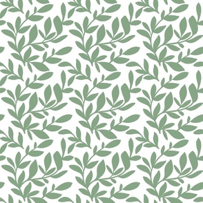 Sage green graphic botanical 