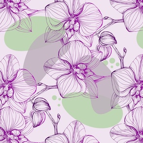 Orchid Haven: Floral Designs for Every Occasion