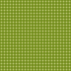 Dot Grid in Green