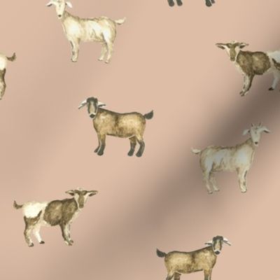 Goats in Dahlia