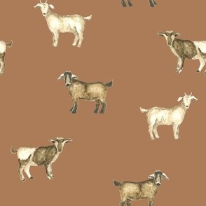 Goats in Ground