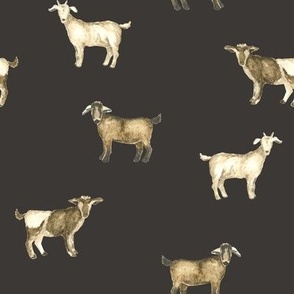 Goats in Night