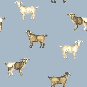 Goats in Pale Blue