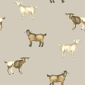 Goats in Sand