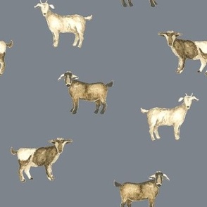 Goats in Storm