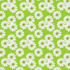 daisy_pattern