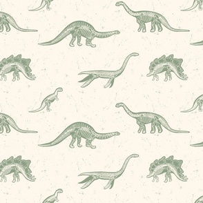 Medium Excavated Jurassic Dinosaur Fossils in Sage Green  with a Distressed Textured background in Seashell Cream Background