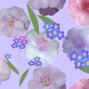 garden lilac