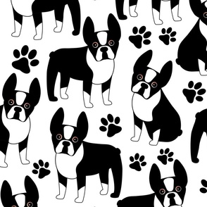 Boston Terriers Party Paws - 20 inch