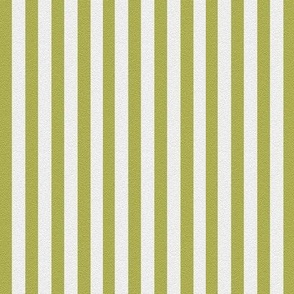 textured stripes - olive white