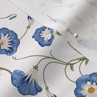 10"  a blue summer  morning glory ,ipomea, climbers meadow  - nostalgic  home decor on white,  Baby Girl and nursery fabric perfect for kidsroom wallpaper, kids room, kids decor 