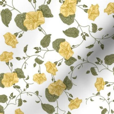 14" a yellow summer  morning glory ,climbers meadow  - nostalgic  home decor on white,  Baby Girl and nursery fabric perfect for kidsroom wallpaper, kids room, kids decor