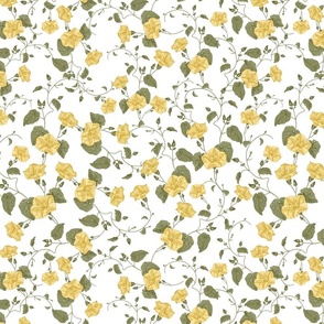 14" a yellow summer  morning glory ,climbers meadow  - nostalgic  home decor on white,  Baby Girl and nursery fabric perfect for kidsroom wallpaper, kids room, kids decor