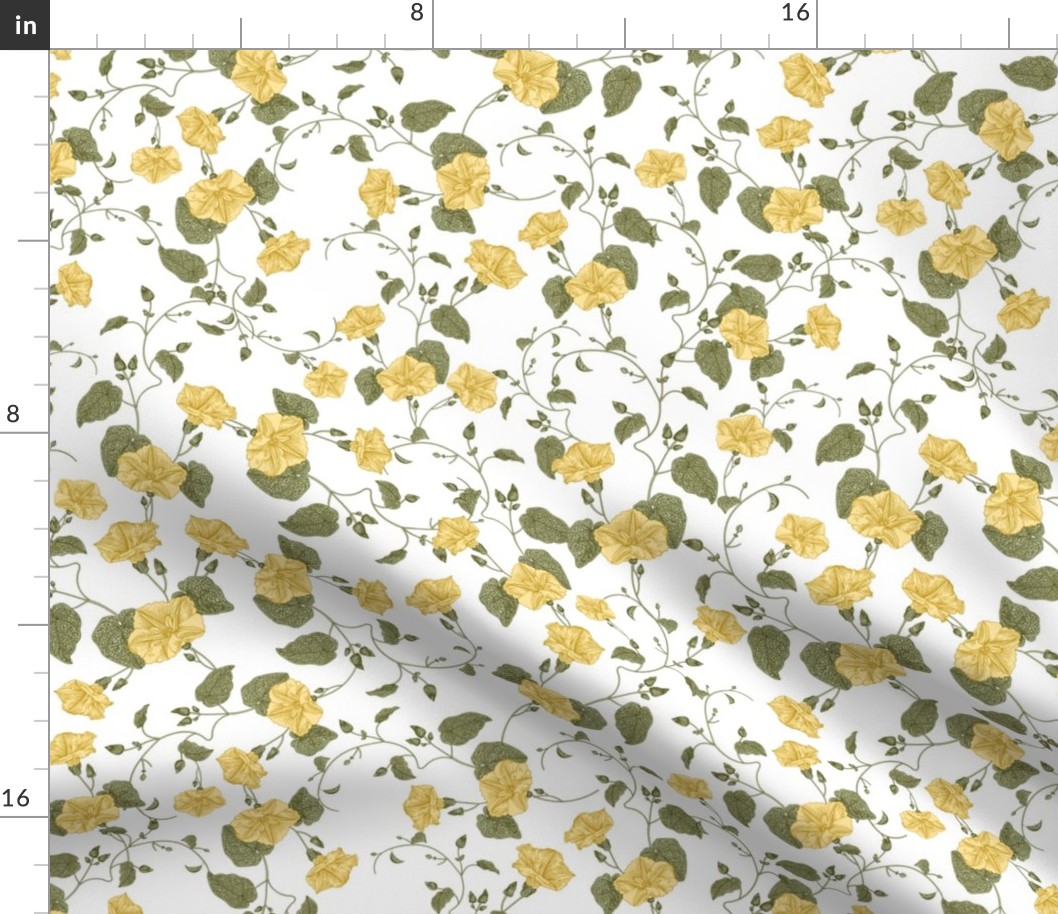 14" a yellow summer  morning glory ,climbers meadow  - nostalgic  home decor on white,  Baby Girl and nursery fabric perfect for kidsroom wallpaper, kids room, kids decor