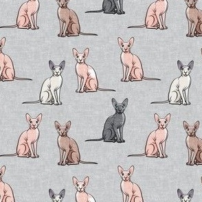 (small scale) Sphynx Cats - Hairless Cats Sitting -  Multi grey  - C23