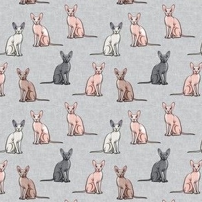 (extra small scale) Sphynx Cats - Hairless Cats Sitting -  Multi grey  - C23