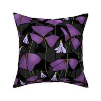 Purple Oxalis Shadows (large scale) 