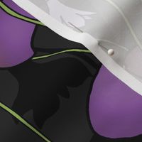 Purple Oxalis Shadows (large scale) 