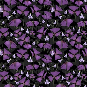 Purple Oxalis Shadows 