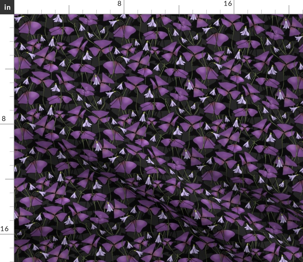 Purple Oxalis Shadows (small scale) 
