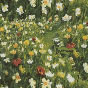 My Garden - Daffodils