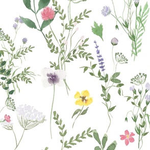 Spring Meadow Wildflower Watercolor Pattern On White Background