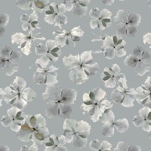 Hydrangea Flower Petals - Mineral Grey