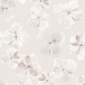 Hydrangea Flower Petals - Light Blossom