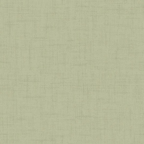 Linen Texture CanvasSage Earth Tones