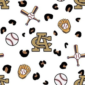 AC baseball (custom design)