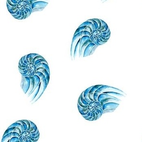Nautical polka dots sea shells clear blue