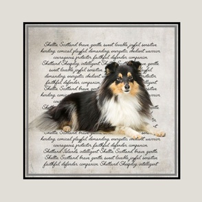 Tri Sheltie Panel