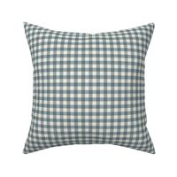 3/8" Gray Blue Gingham: Foggy Blue Gingham Check, Buffalo Check, Buffalo Plaid