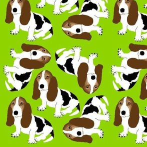 Basset Hound Lime Green 