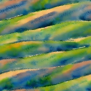 Rolling Hills of Olive Trees
